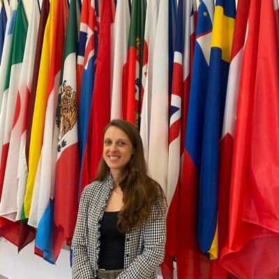 Development Counsellor and UK Delegate to the Development Assistance Committee (OECD) (she/her/they)