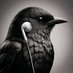 𓅿黒鳥🎧Skydog𓅯 (@blackbird_osaka) Twitter profile photo 𓅿黒鳥🎧Skydog𓅯 (@blackbird_osaka) Twitter profile photo
