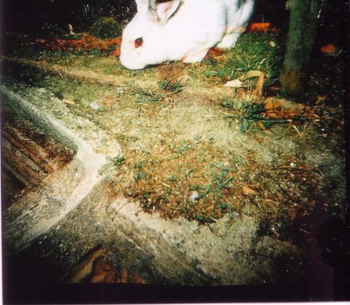 Vlisvlis's profile picture. Interior designer.
Art, architecture, design, analog photography and surrealism lover.