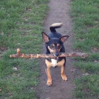 liz mason (@lizmason7) 's Twitter Profile Photo