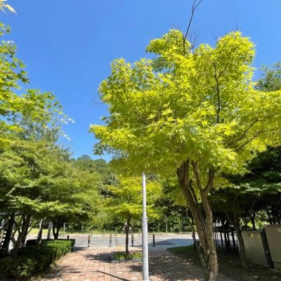 gongu1305's profile picture. 호잇