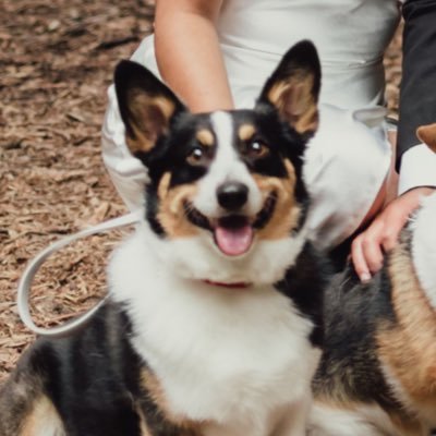 malii_28's profile picture. 