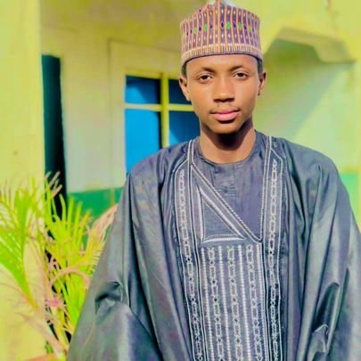 Aliyu1796701's profile picture. 