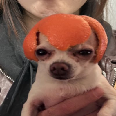 chloemeets's profile picture. could someone buy me a gelato