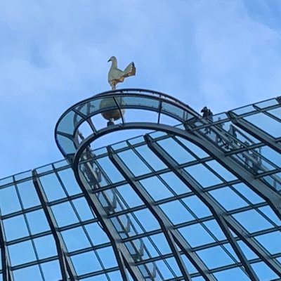 HarryHotspurFC's profile picture. Spurs since 60’s. My eyes have seen The Glory as well as a load of shite. Yid Army. Apparently now far right and enemy of the State. Also a Zionist dog. 🤷🏻‍♂️