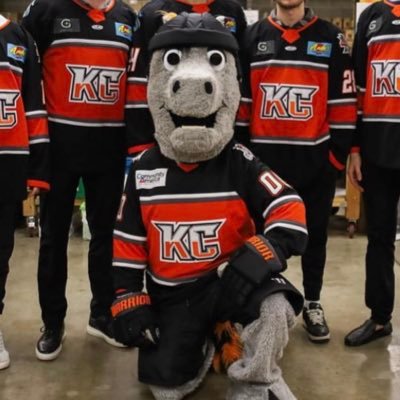 mac_kcmavs's profile picture. Official Twitter Feed of the @kc_mavericks Mascot! Follow me on Instagram: @mac_kcmavs