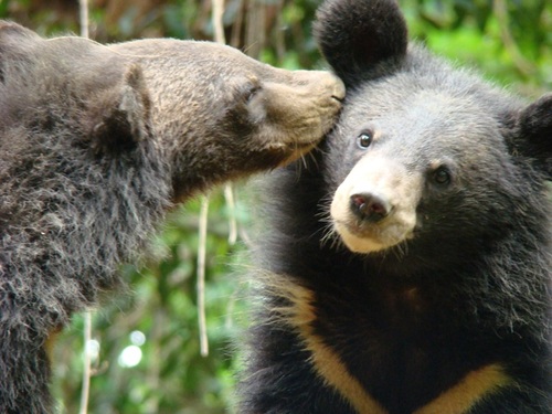 CambodianMatt's profile picture. 