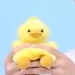 maru__zxc's profile picture. exo 🐧/ nct 🐯 / wayv 🐻 / red velvet 🐻 / riize 🐥/ woodz 🧡💙