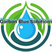 CarbonBlueSolutions (@cbluesolutions) 's Twitter Profile