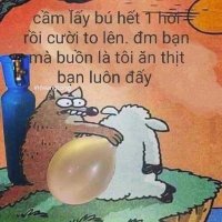 CÀ Phê (@thanhtungicloud) 's Twitter Profile