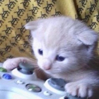 aburto_der27642's profile picture. 