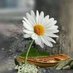 ابو ادریس (@hajymla52335) Twitter profile photo ابو ادریس (@hajymla52335) Twitter profile photo