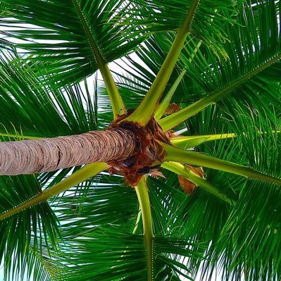 cyptochanel's profile picture. crypto