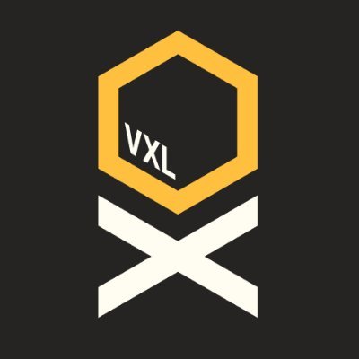 Voxel Esports Profile