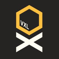 Voxel Esports (@voxel_cs2) 's Twitter Profile