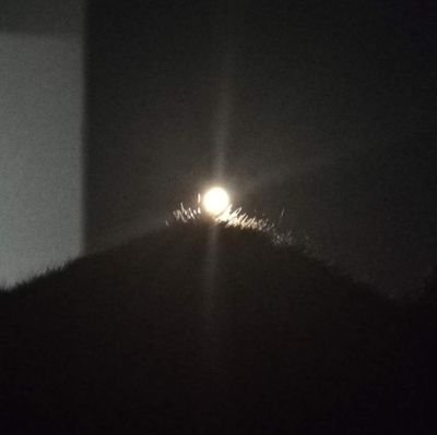 LifeasaMP's profile picture. 失った長期記憶の取り戻し方誰か教えてください。それはそれとして世界平和と全ての生き物の無病息災を祈っております。鍵アカ@LifeasaSM