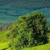Ahmet Eren Aşcı (@ahmeterena63078) Twitter profile photo