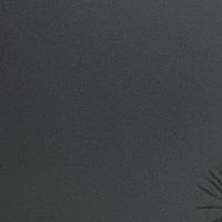 َ (@flymetothec2) 's Twitter Profile