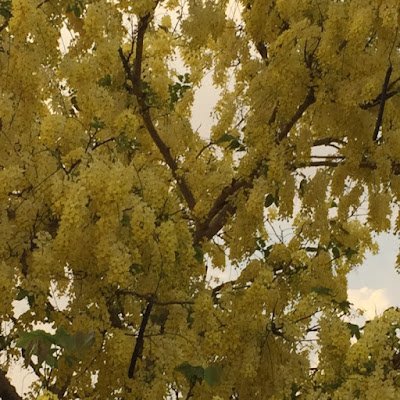 AnandKumar79546's profile picture. 