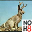 Vajraskandha's profile picture. Big gay nerd who practices design and Buddhism. Born in KY, GTFO, & escaped to NYC. Closet gym bunny. He/him. If this is an emergency, hang up and dial 911.