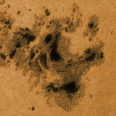 Eckardt Profile