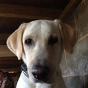 Roger Stanford - @StanfordRoger - Twitter