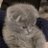 J7ix_4's profile image