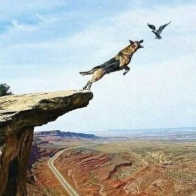 Ahou31415926's profile picture. 我是一个山顶冻人，山顶冻人啊，山顶真的很冻人。