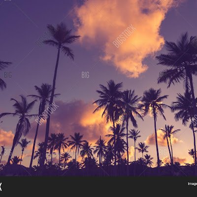 venkatm950746's profile picture. 