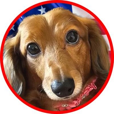 Chesh87110568's profile picture. God is good❤️
Banner art by website posted #MAGA