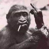 JOA (@unclejoxh) 's Twitter Profile