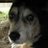 BeamerJohn51461's profile image