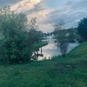 Dee_bee - @twowingsonebird - Twitter