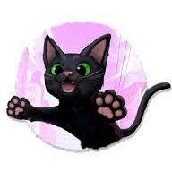 Little Kitty, Big City (@cmolatef64466) 's Twitter Profile