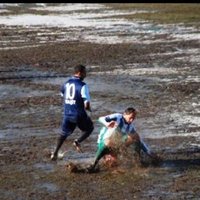 Ekin Botanik (@botanikekin) 's Twitter Profile