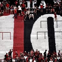 100% ÑUBELISTA (@amor_newells) 's Twitter Profile