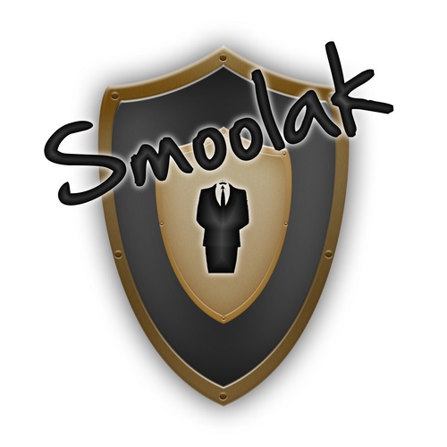 TomorrowLAN's president. Video game event organizer since 2012.