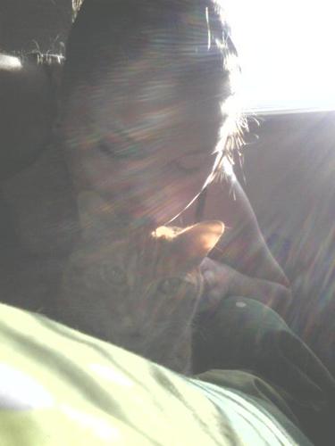 swalsh93's profile picture. 