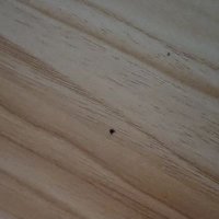 Pasivito (@zadanob) 's Twitter Profile