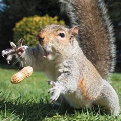 commettrail's profile picture. 