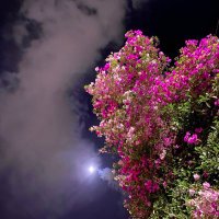 لارا 💗 (@mwy1120793) Twitter profile photo