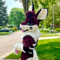 Musubi 🐇 @ LVFC (@musubun) 's Twitter Profile