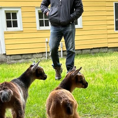 Alan Feuer Profile
