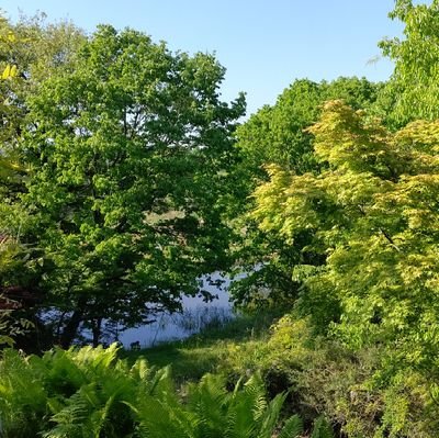 ma1922818's profile picture. 