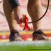 Cyclone Turfgrass (@cycloneturf) Twitter profile photo