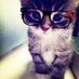 jostar (@sleepy_jojo3) Twitter profile photo jostar (@sleepy_jojo3) Twitter profile photo
