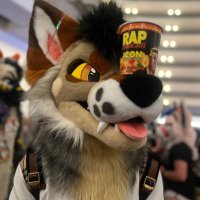 𓃥 Churro 𓃥(@churro_jackal) 's Twitter Profile Photo