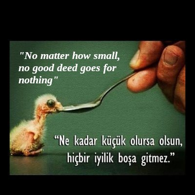 Doğrusu insan, kendi aleyhinde şahittir 75:14
Beni Yaratan, bana doğru yolu gösterecektir 43:27
O'ndan başka hiçbir dostunuz ve şefaatçiniz yoktur 32:4
#Freedom