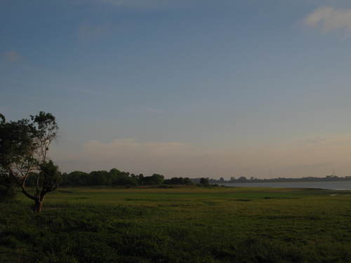 fingers_at_work's profile picture. 