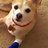 Nett4Regg's profile image